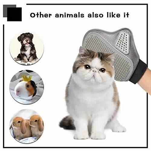 Pet Grooming Glove Stainless Steel